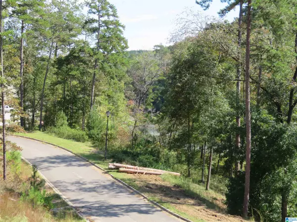 Rockford, AL 35136,Lot 7 PRESERVE DRIVE #7