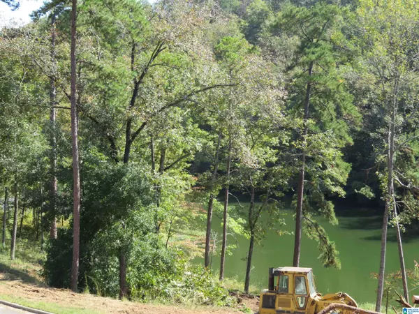 Lot 7 PRESERVE DRIVE #7, Rockford, AL 35136
