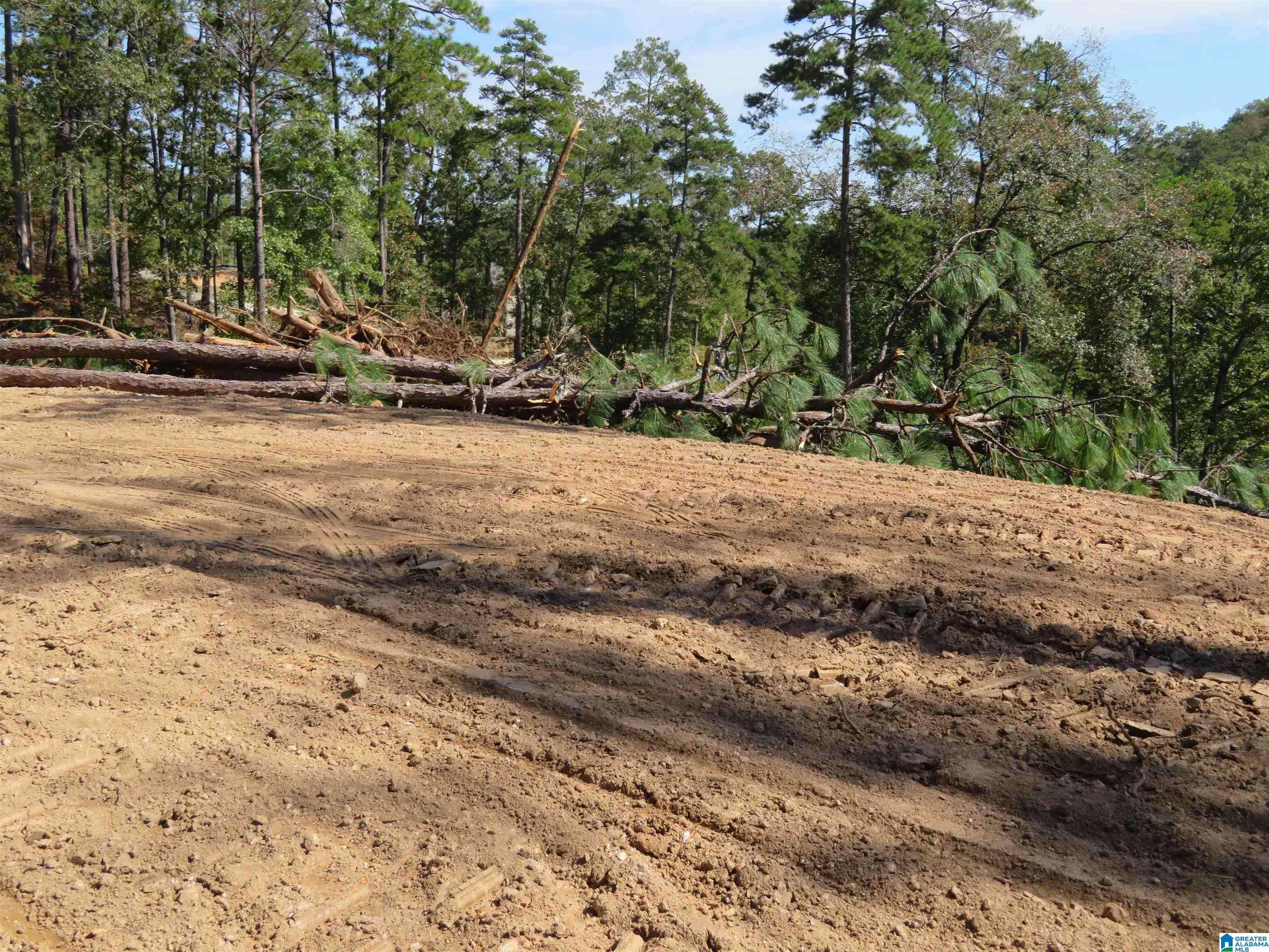 Rockford, AL 35136,Lot 7 PRESERVE DRIVE #7