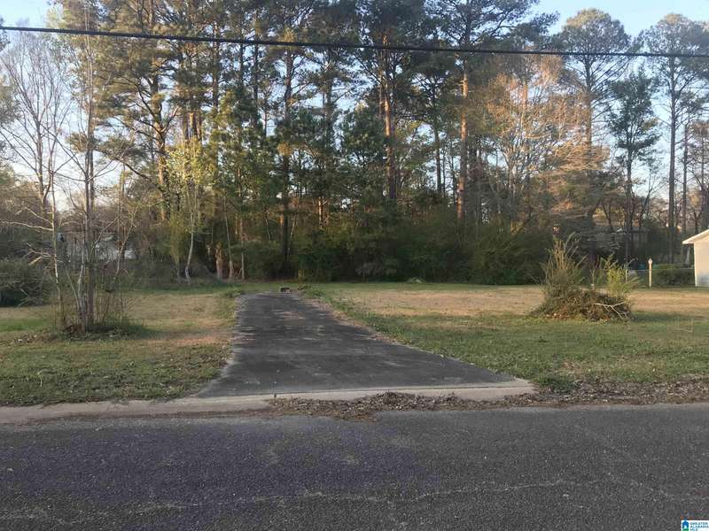 21 OAKDALE DRIVE #21, Montevallo, AL 35115