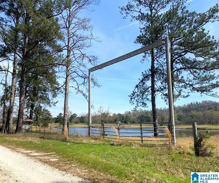 352 DANIEL ROAD #97.17 acres, Ohatchee, AL 36271