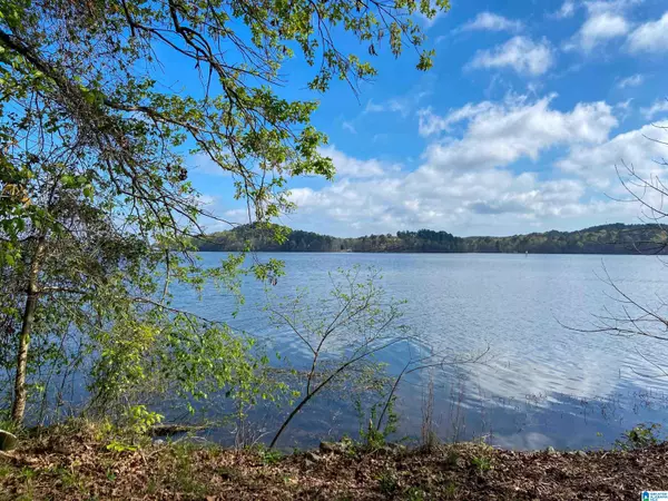 Shelby, AL 35143,Lot 14 RIVER DRIVE #14