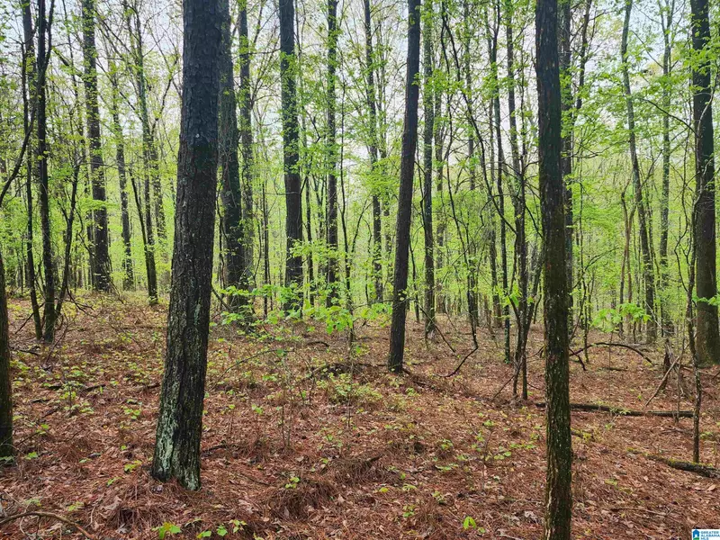 000 COUNTY ROAD 111 #1, Kellyton, AL 35072