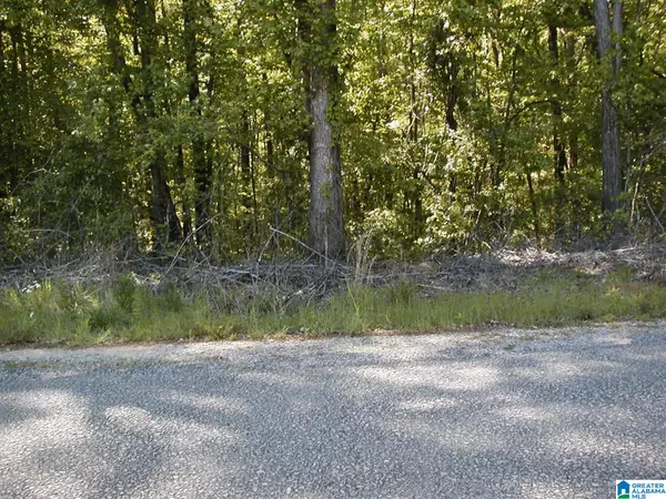 Vance, AL 35490,lot 17 MITCHELL DRIVE #17