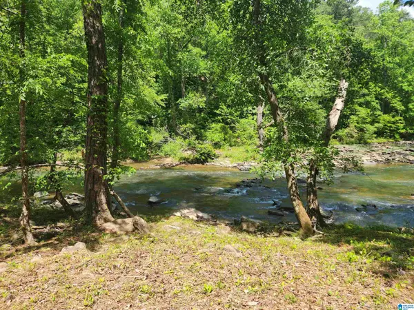 Bessemer, AL 35022,8757 SHADES FALLS WAY #3