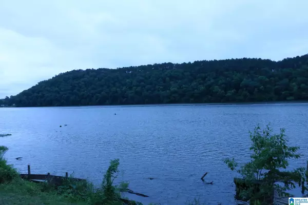 1180 MARINA LANE #00, Adger, AL 35006