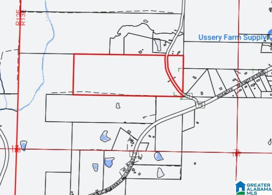 COUNTY ROAD 701 #60 acres, Roanoke, AL 36274