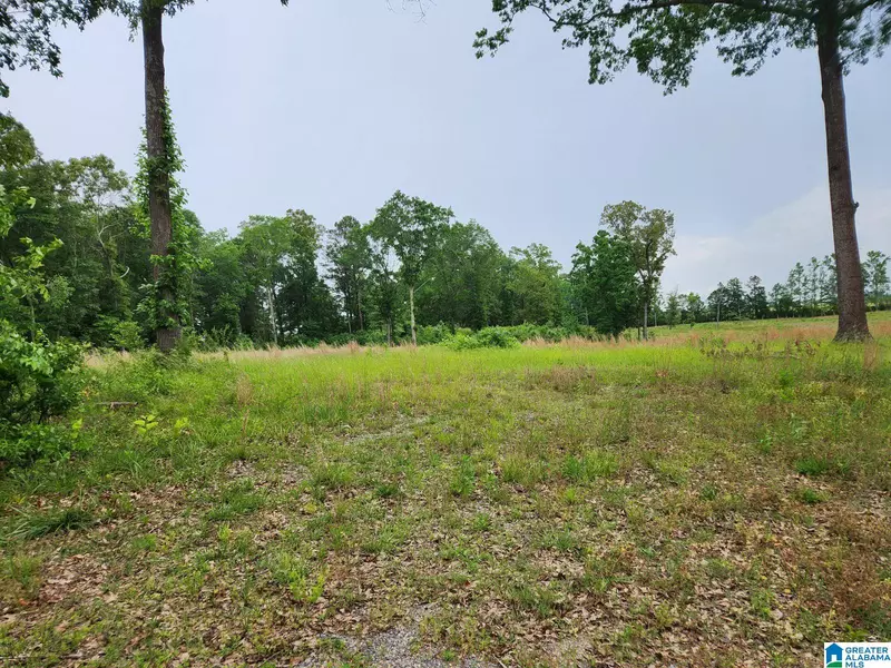 101 LITTLE ROAD #2 lots, Altoona, AL 35952