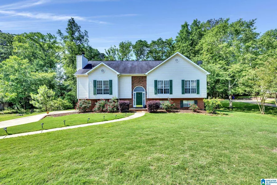 319 HUNTER HILLS CIRCLE, Chelsea, AL 35043