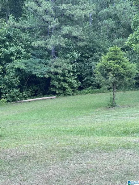 2523 COUNTY ROAD 359 #2, Maplesville, AL 36750