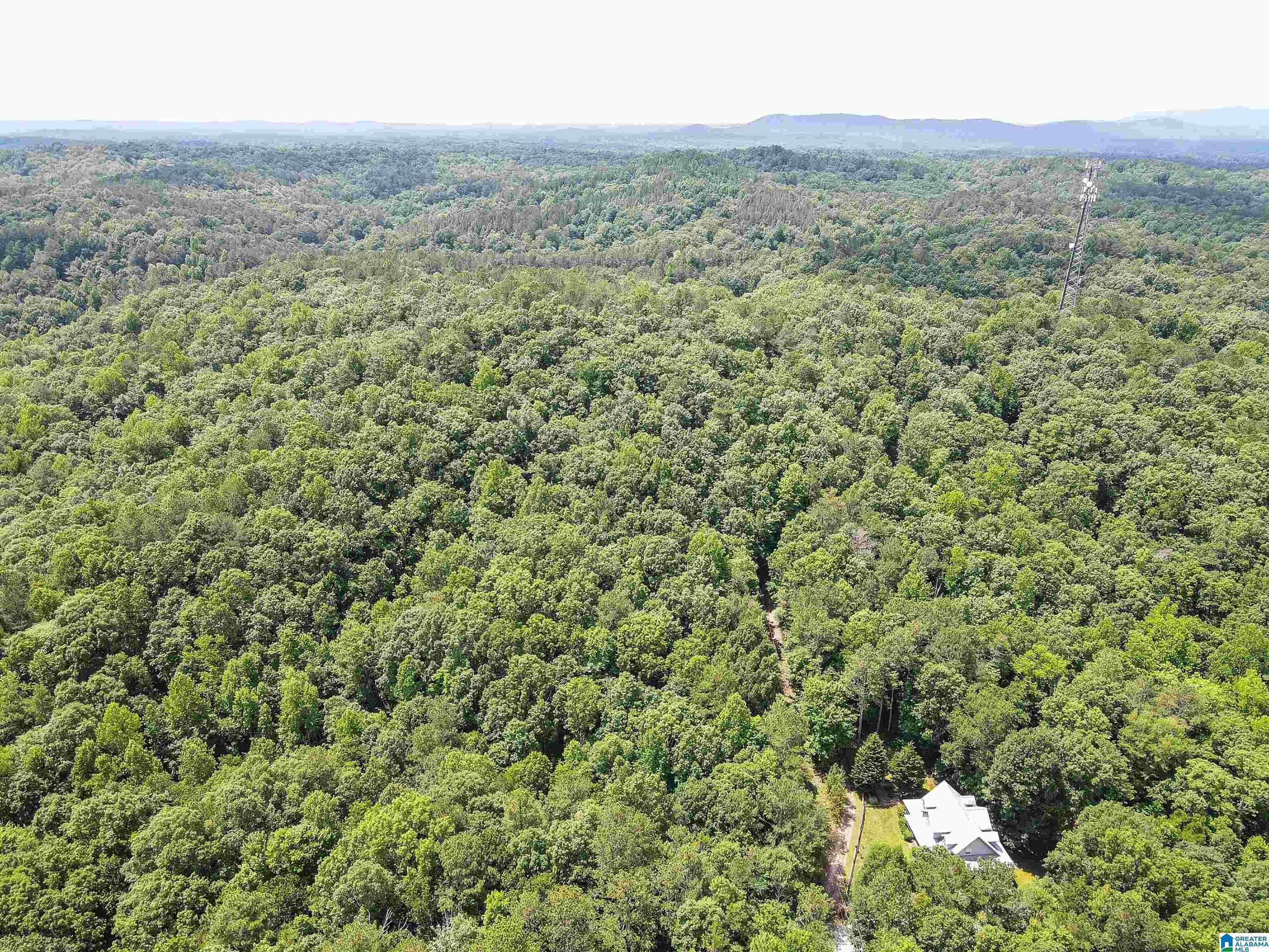 0 WHITE LANE #25 ac, Anniston, AL 36207