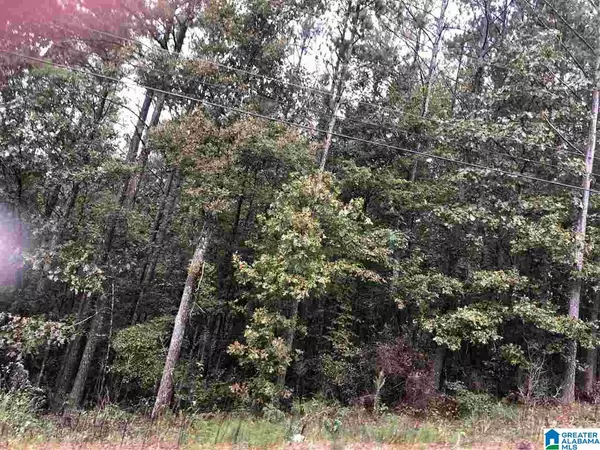 Odenville, AL 35120,13 HICKORY LANE #13