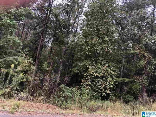 Odenville, AL 35120,13 HICKORY LANE #13