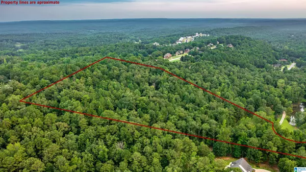 Helena, AL 35080,Lot 1 BROOKVIEW LANE #1