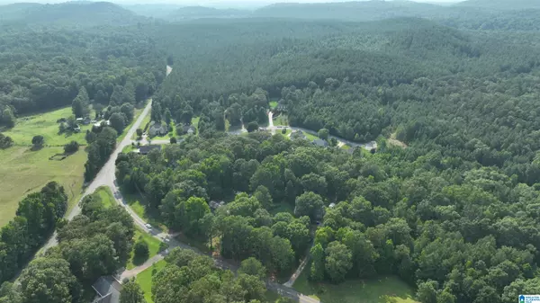 125A THATCHER ROAD #7A-1 - 7A-5, Vincent, AL 35178