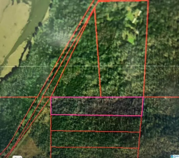 0 BROWNS VALLEY ROAD #1, Guntersville, AL 35976