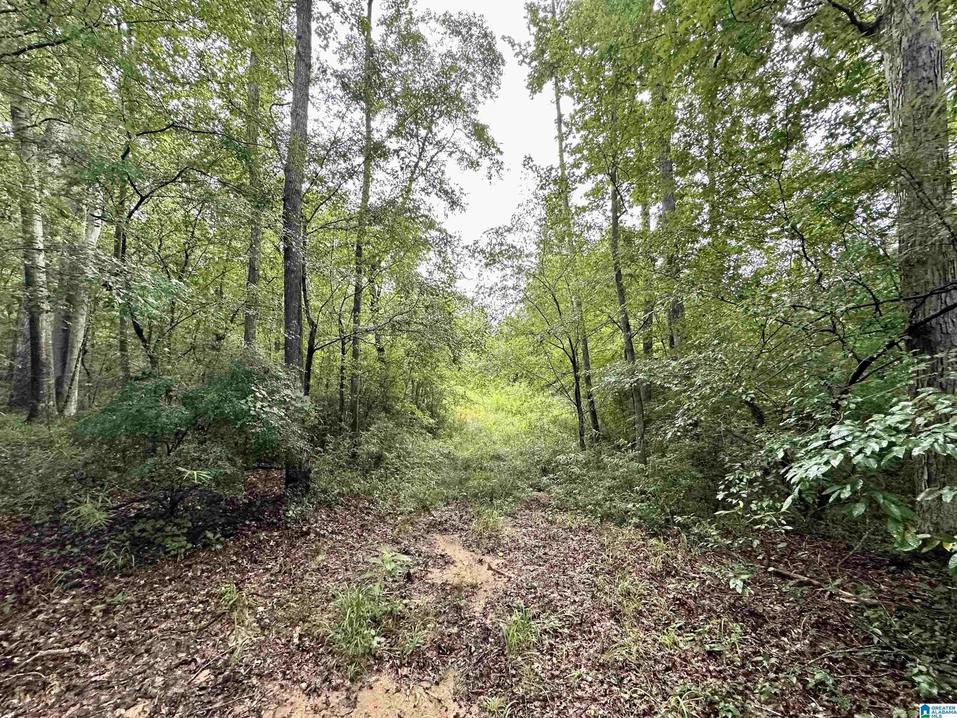 0 HIGHWAY 231 #0, Rockford, AL 35136