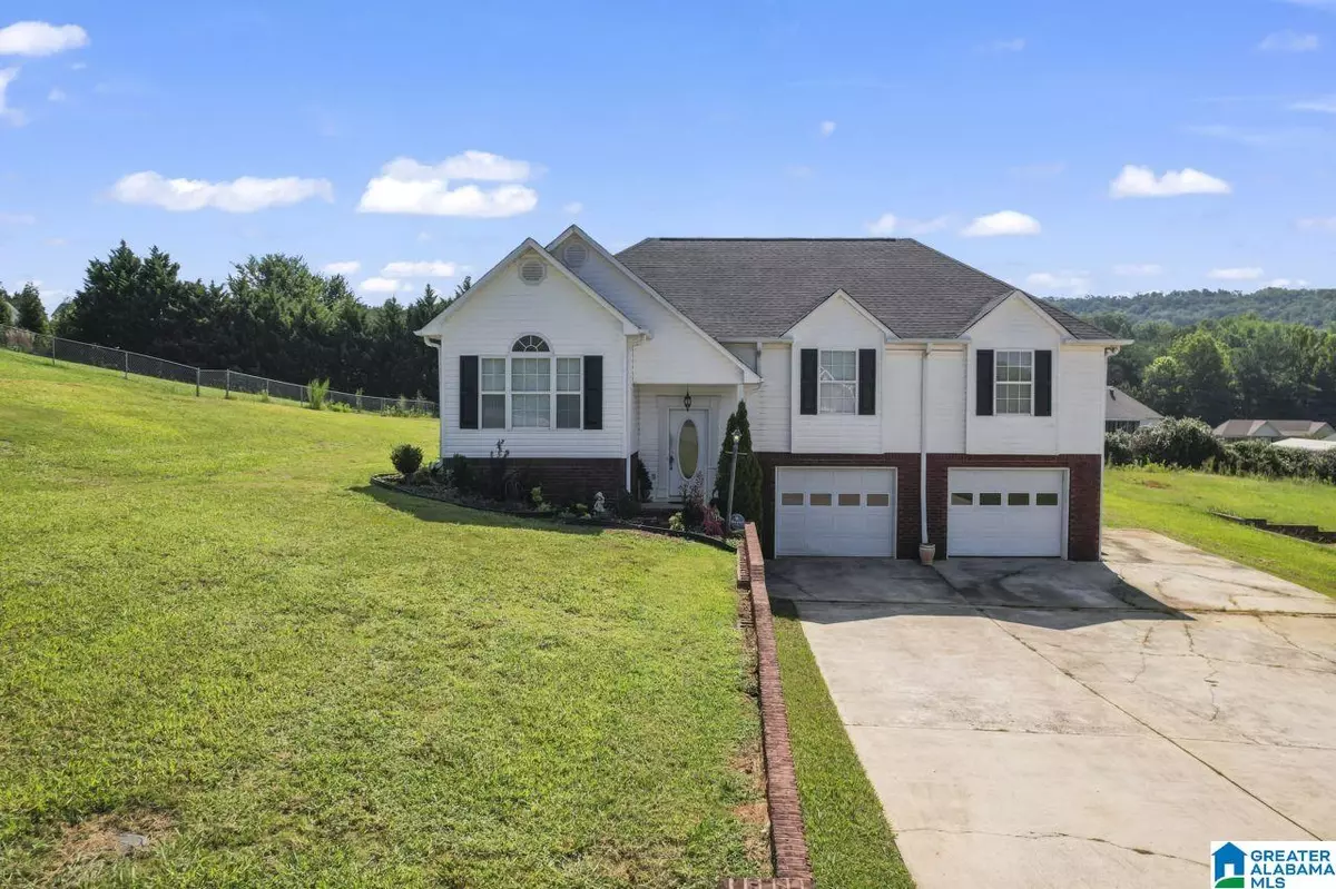 Oneonta, AL 35121,908 RANSOME DRIVE