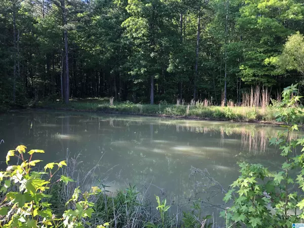 Columbiana, AL 35051,Copper Rd HIGHWAY 61 #0
