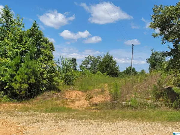 Heflin, AL 36264,0 COUNTY ROAD 66 #6 Acres