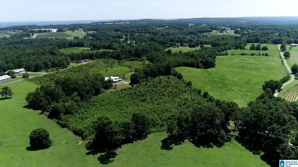 Oneonta, AL 35121,0 LANDRETH ROAD #9.5+/- Acres