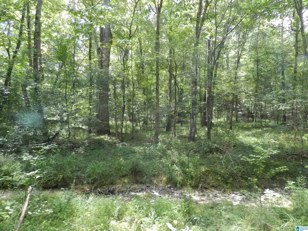 Jemison, AL 35085,308 COUNTY ROAD 1039 #06