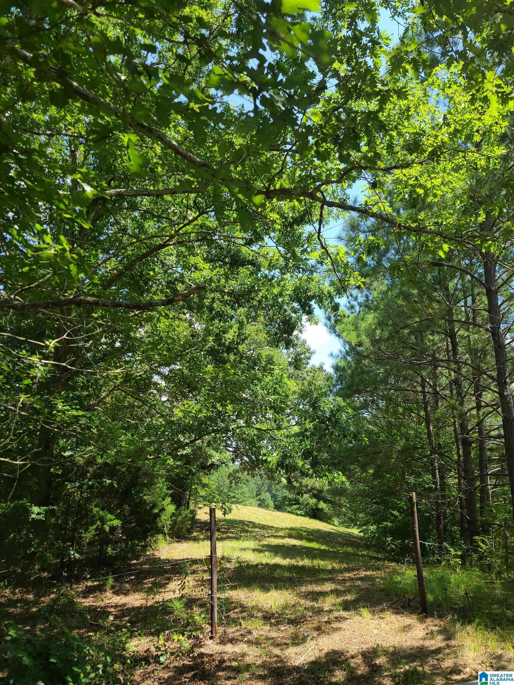 0 TURKEY HOLLOW LANE #1, Ashville, AL 35953