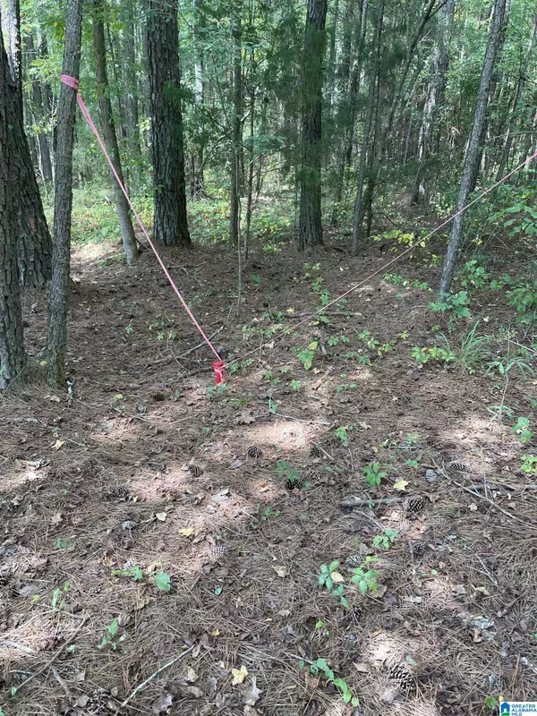 Warrior, AL 35180,3000 SELF CREEK ROAD #Lot 1