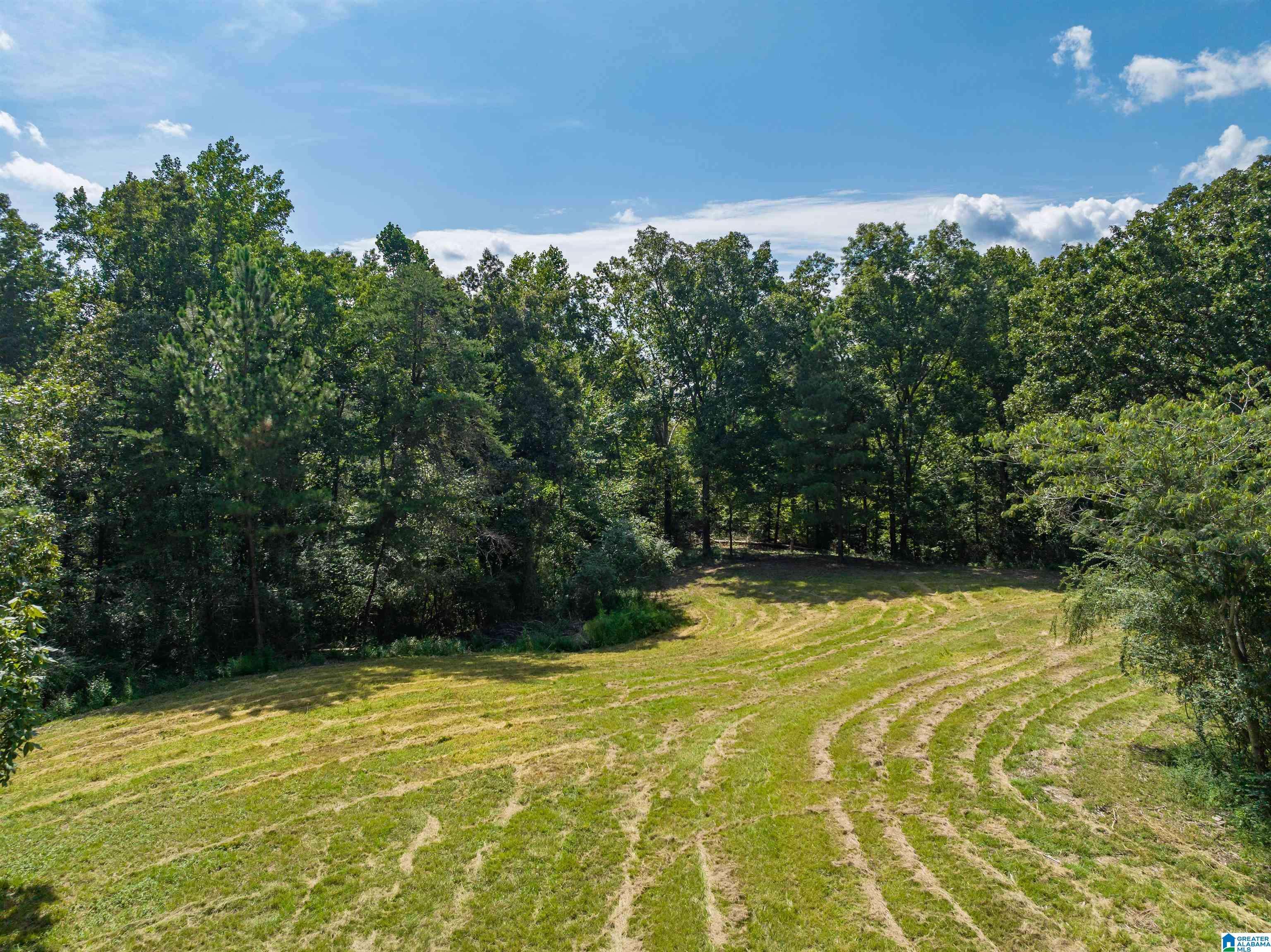Pleasant Grove, AL 35127,1423 7TH PLACE #1