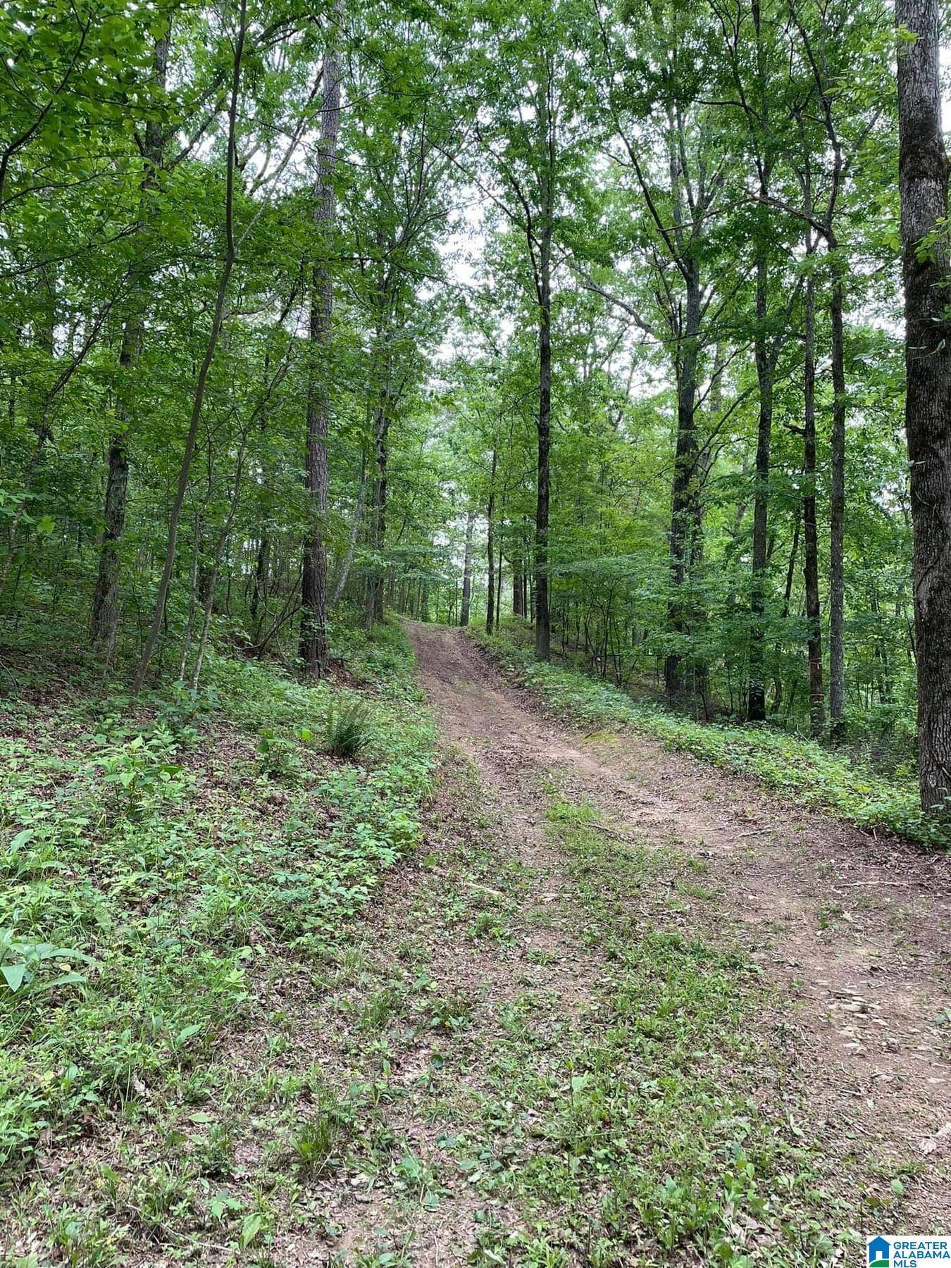 Bessemer, AL 35022,2215 SHIVER DRIVE #2 lots