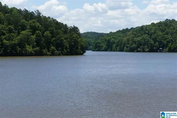 Lineville, AL 36266,Lot 20 FOSTER COVE DRIVE #20
