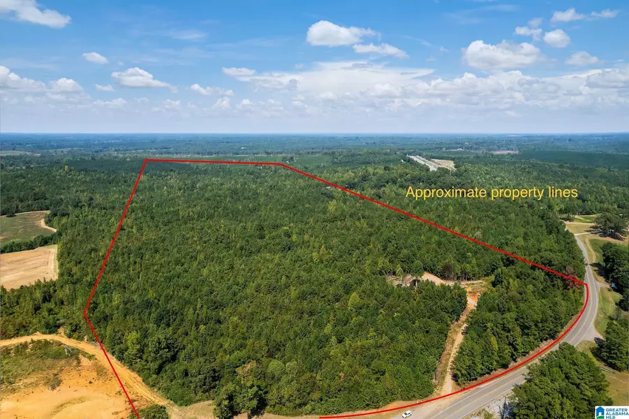 9630 HIGHWAY 191 #0, Maplesville, AL 36750