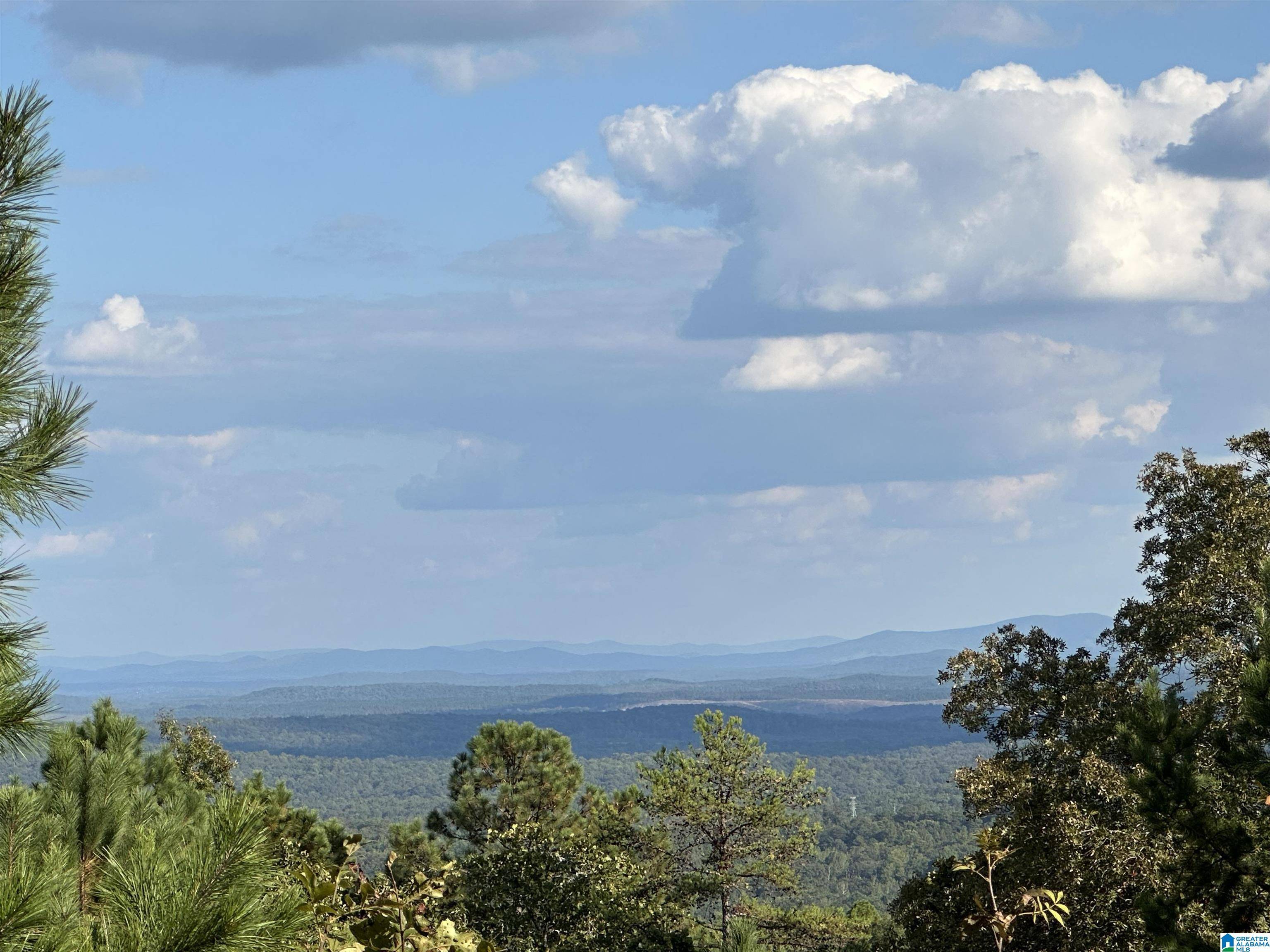 EAGLE VIEW #1-17, Leeds, AL 35094