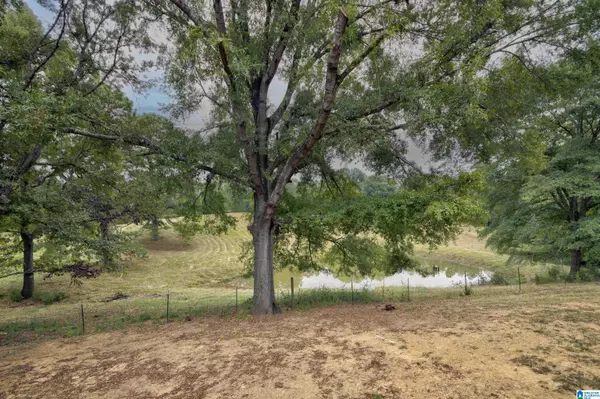 Shelby, AL 35143,9071 HIGHWAY 42