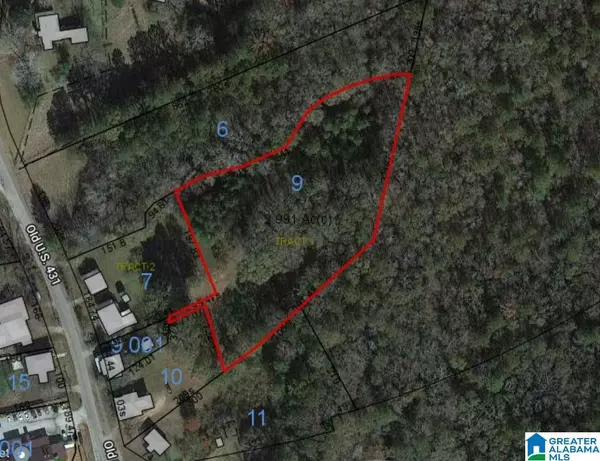 Roanoke, AL 36274,0 MAIN STREET #2.99 acres