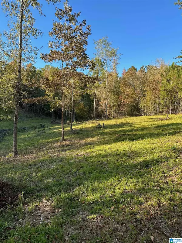 Shelby, AL 35143,0 REED CREEK DRIVE #0