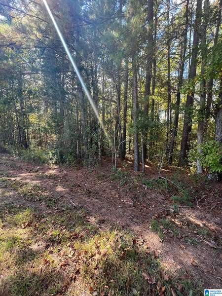 1 acre COUNTY ROAD 19 #1, Woodland, AL 36280