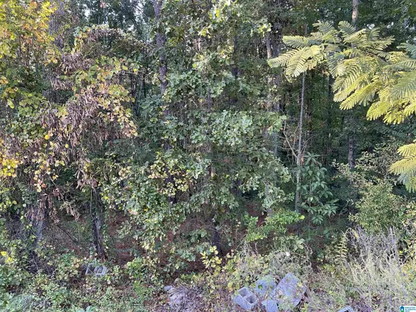 Oxford, AL 36203,0 EMI GIL ROAD #14