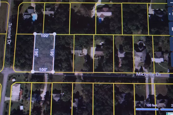 Lakeview, AL 35111,2 MICHELLE DRIVE #2