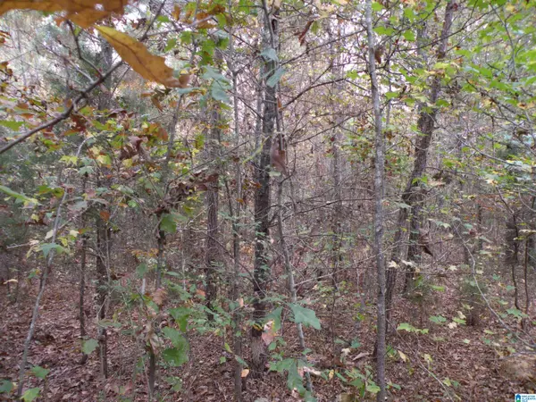 Sylacauga, AL 35150,0 FULTON GAP ROAD #0