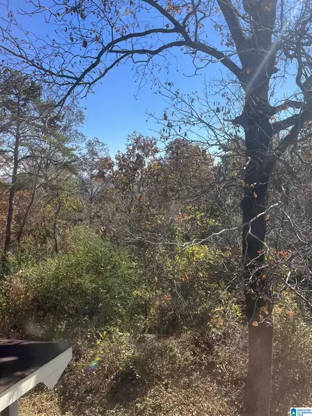 0000 WILLIAMSBURG ROAD #3, Altoona, AL 35952