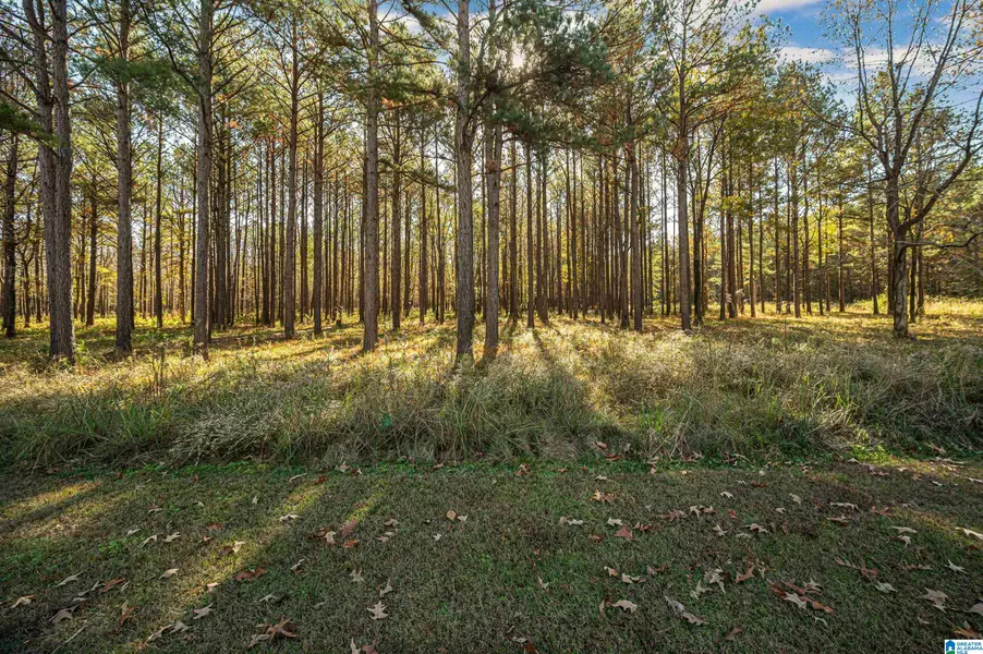 152 CYPRESS POINT DRIVE #2, Akron, AL 35441