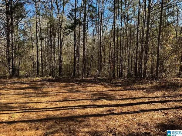 Wedowee, AL 36278,COUNTY ROAD 7 #0