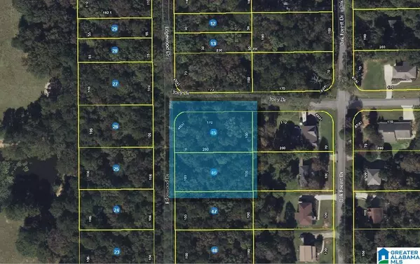 EDGEWOOD DRIVE #2 Lots: 1&2, County, AL 35111