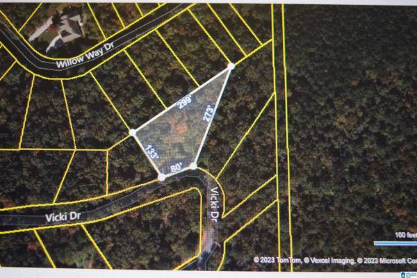 8 VICKIE DRIVE #8, Lakeview, AL 35111