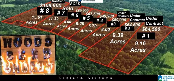 Ragland, AL 35131,Lots 1, 2 & 3 WOODS BEND ROAD #Lots 1, 2 & 3