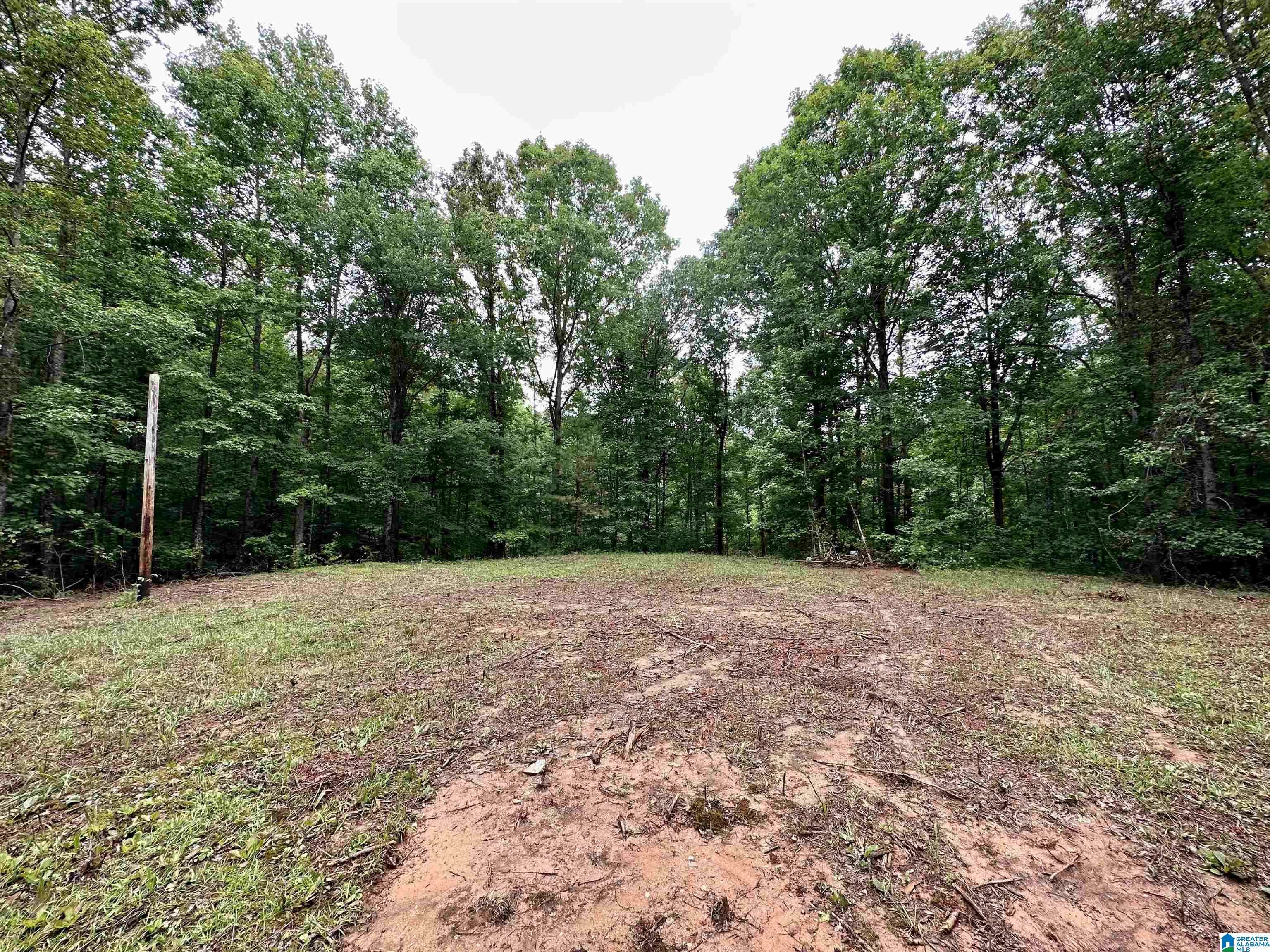1162 DONAHOO LANE #0, Sylacauga, AL 35151