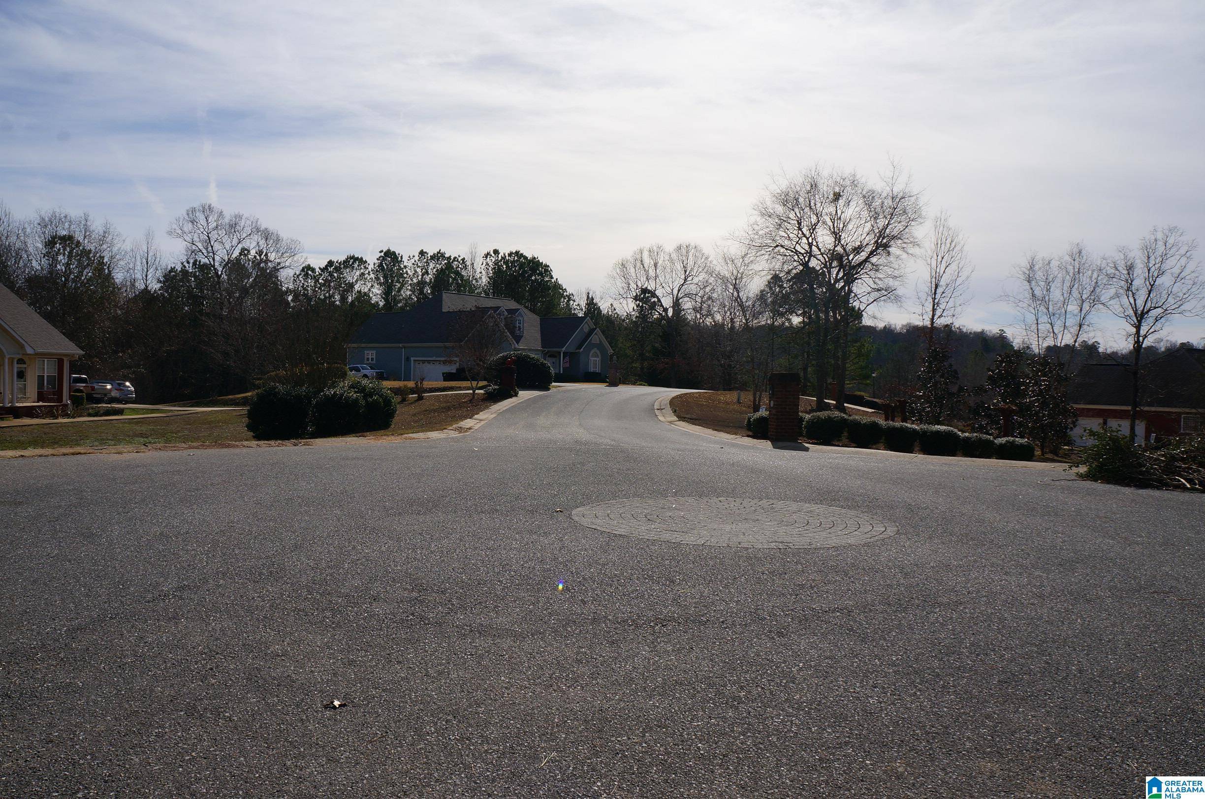 Sylacauga, AL 35151,0 PEBBLE POINT #13