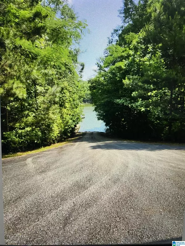 Wedowee, AL 36278,Lot 17 BROOKWATER POINTE #Lot 17