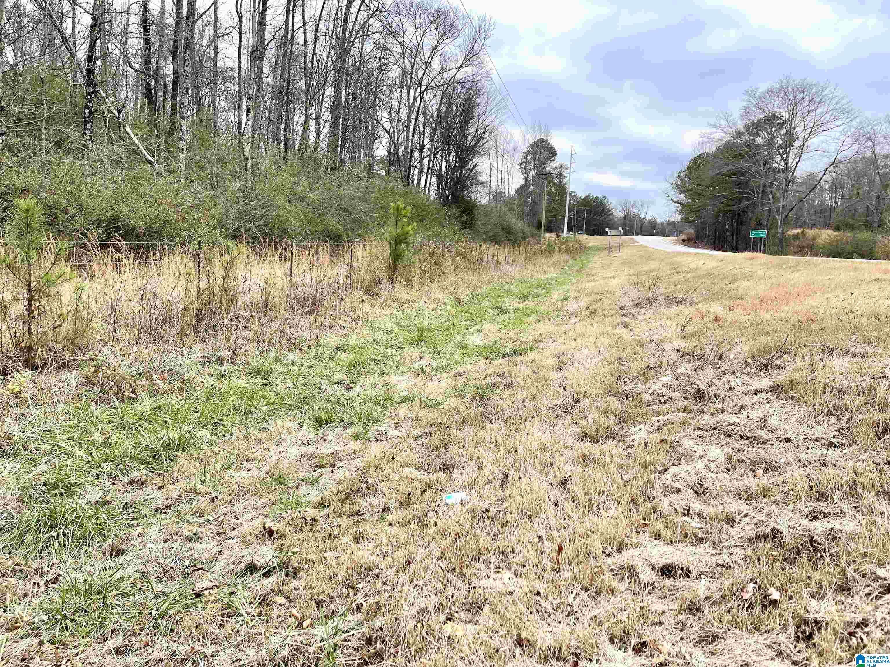 Cropwell, AL 35054,0 HIGHWAY 231 #0
